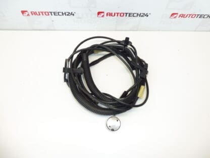 Καλωδίωση κεραίας Citroën C3 Pluriel 964515948002 6561Q8