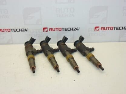 Κιτ ψεκασμού Bosch 1.4 HDI 0445110339 1980EJ