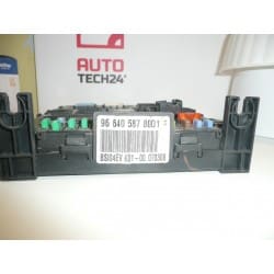 ECU BSI 04EV K01-00 Citroën Peugeot 9664058780 01