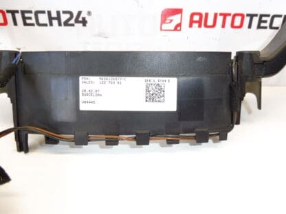 Delphi Citroën Peugeot Gearbox Drivers 9656126977 96561269XT 6242XJ