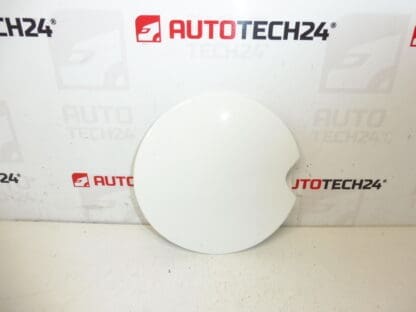 Peugeot 207 EWP 1517F2 Cover Tank Cover