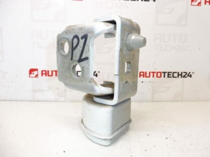 Σταματώντας τη δεξιά πίσω πόρτα του EWP Peugeot 207 13089480 9037C0 - Image 2