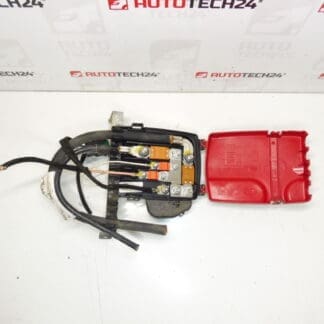 Citroën C5 X7 9665407780 6500FV Module Fuse
