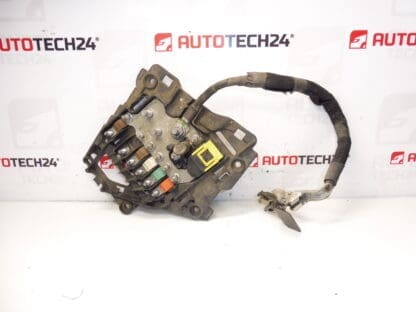 Citroën Peugeot 9675123880 Module Fuse