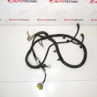Θετικό καλώδιο Aku Citroën Peugeot 1.8 16V 9662165780 5642fy