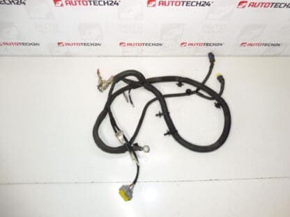 Θετικό καλώδιο Aku Citroën Peugeot 1.8 16V 9662165780 5642fy