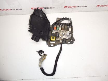 Citroën Peugeot 9801147680 66652x Module Fuse