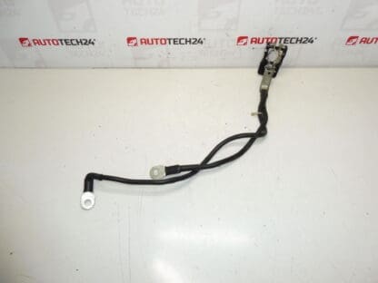 Μια θετική δέσμη για την μπαταρία Citroën Peugeot 1612229980