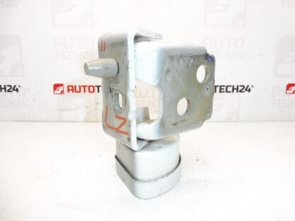 Αντίσταση αριστερής πίσω πόρτας EWPB Citroën C3 Picasso 9035CL - Image 2